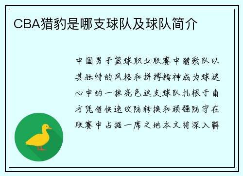 CBA猎豹是哪支球队及球队简介